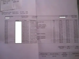 Vet Bill 1.webp Vet Bill 1.webp