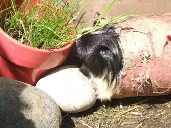 DSCF4569.webp