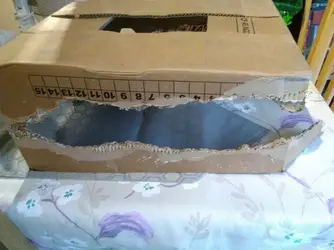 IMG_20180409_174726.webp