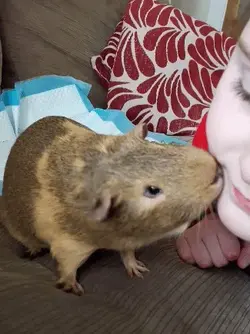 Charlie Kisses.webp Charlie Kisses.webp