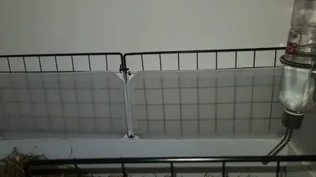 15237930143171737392199008636353.webp