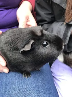 B21B2BCA-C4D4-4BF3-88EA-BF05F036E635.webp