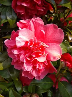 IMG_20180421_162635.webp