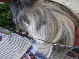 Salon 2.webp Salon 2.webp