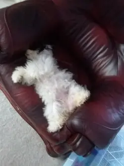 20180513_203418.webp