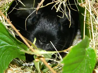 DSCN7892.webp