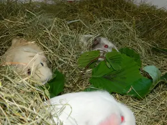 DSCN7912.webp