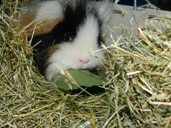 DSCN7923.webp