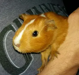 2018-06-05 21.12.47.webp