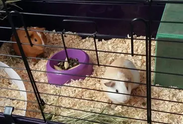 2018-06-08 19.43.34.webp