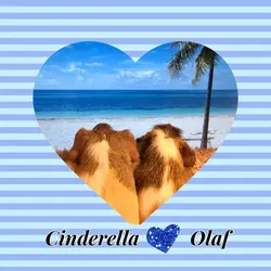 0E2F5750-0010-4E65-B790-671CDB165645.webp