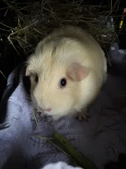 20180620_101406.webp