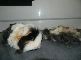 DSCN8229.webp