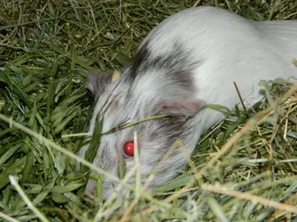 DSCN8323.webp