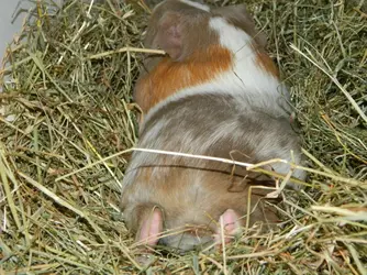 DSCN8358.webp