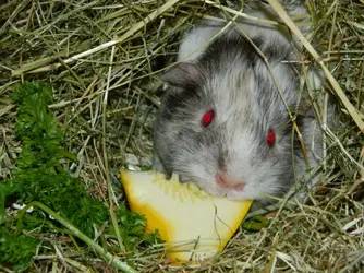DSCN8376.webp