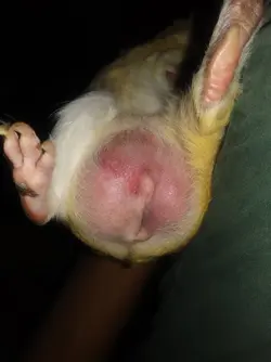 20180708_230827.webp