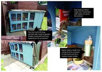 Guinea Pig Hutch ideas-01.webp