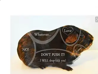 EF1F1E9C-782A-4E87-A5F7-0001DACA9183.webp