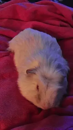 P_20140804_203625.webp
