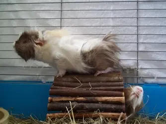 100_2170.webp