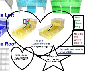 c&c cage 4 Plan.webp