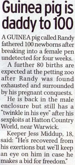 Randy.webp