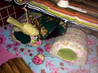 image.webp