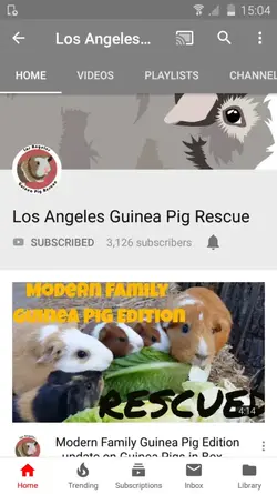 Screenshot_2018-08-25-15-04-18.webp