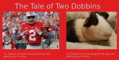 TwoDobbins.webp