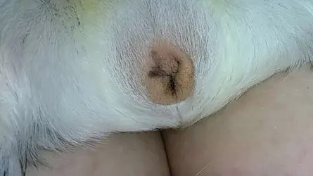 Snapchat-526841458.webp
