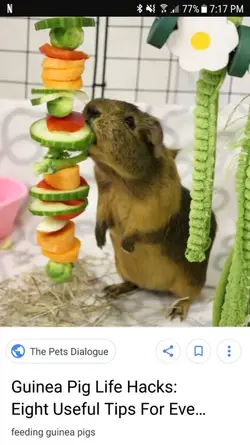 Screenshot_20180923-191744.webp