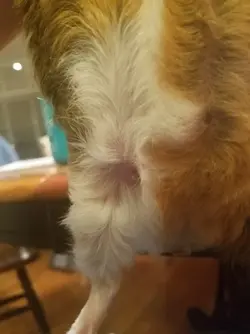 20180929_195211.webp