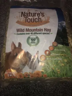 Wild Mountain hay The Guinea Pig Forum