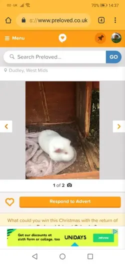 Screenshot_20181126-143703.webp Screenshot_20181126-143703.webp