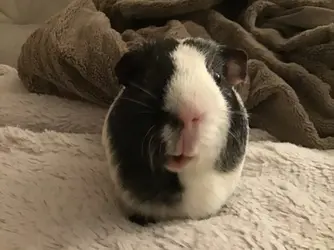 A59376FA-940A-47E1-AC1B-A8E81A13D549.webp