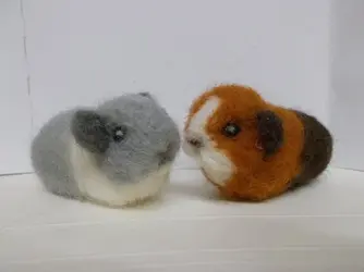 brownpig and smartie.webp