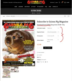 Subscribe – Guinea Pig Mag.webp