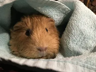 EAF6607F-34E1-4664-BC4B-379034CA8BED.webp