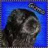 Gizmo