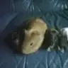 mali&peppa