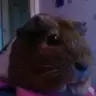 Jennifer-Squeak