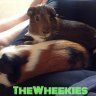 TheWheekies