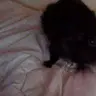 piggloo