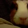 JamesandClouseau