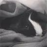 OhYehChocolate