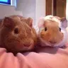 Jessie_lou