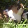Nuzzle&Scrat