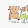 Princesspiggys