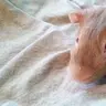 Guinea24